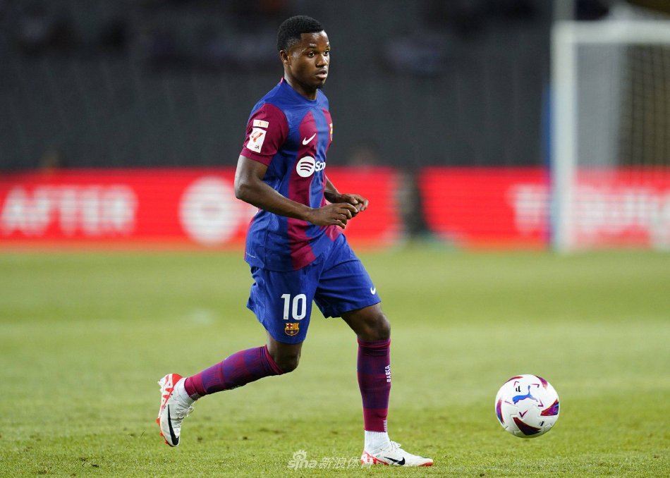 专业技能 专业技能